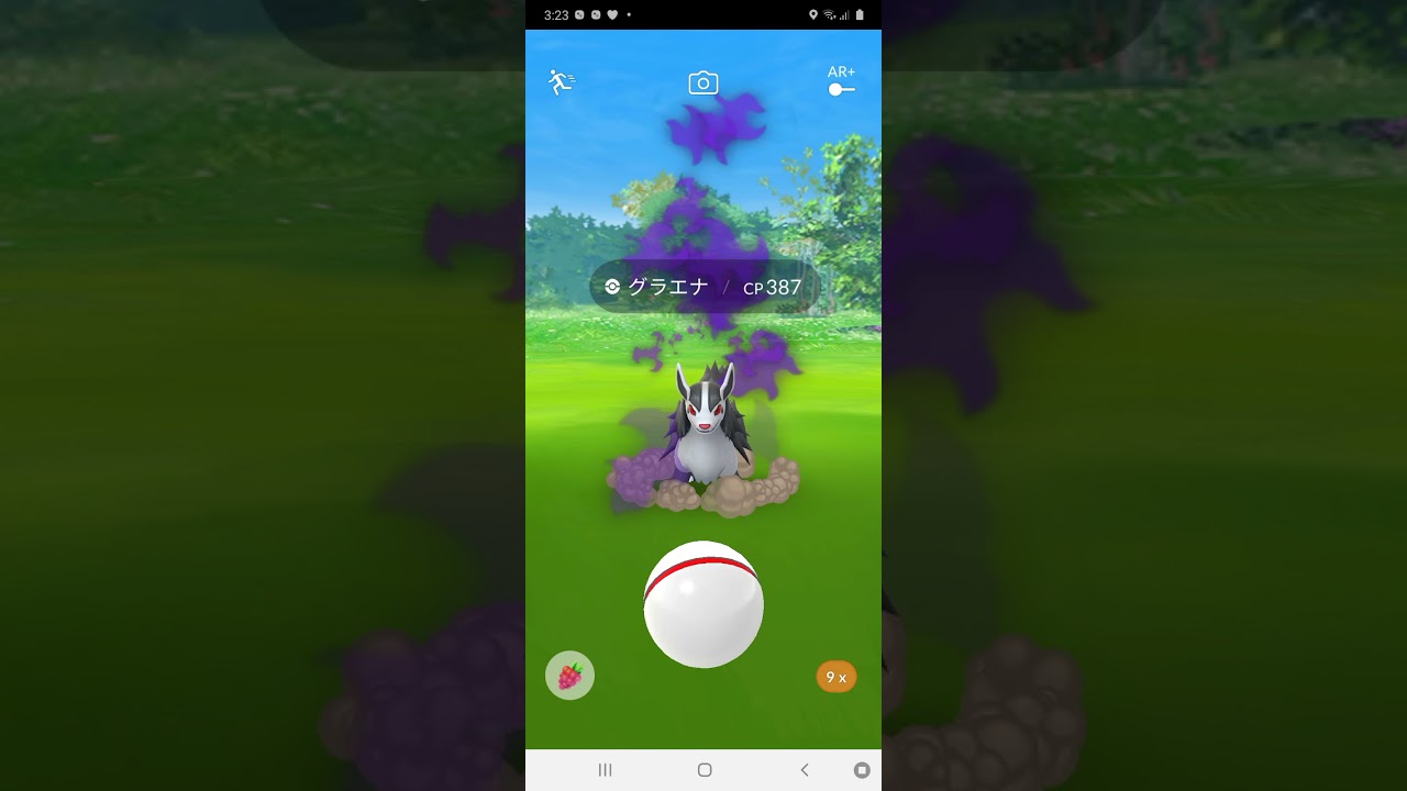 シャドウグラエナに威嚇されるだけ