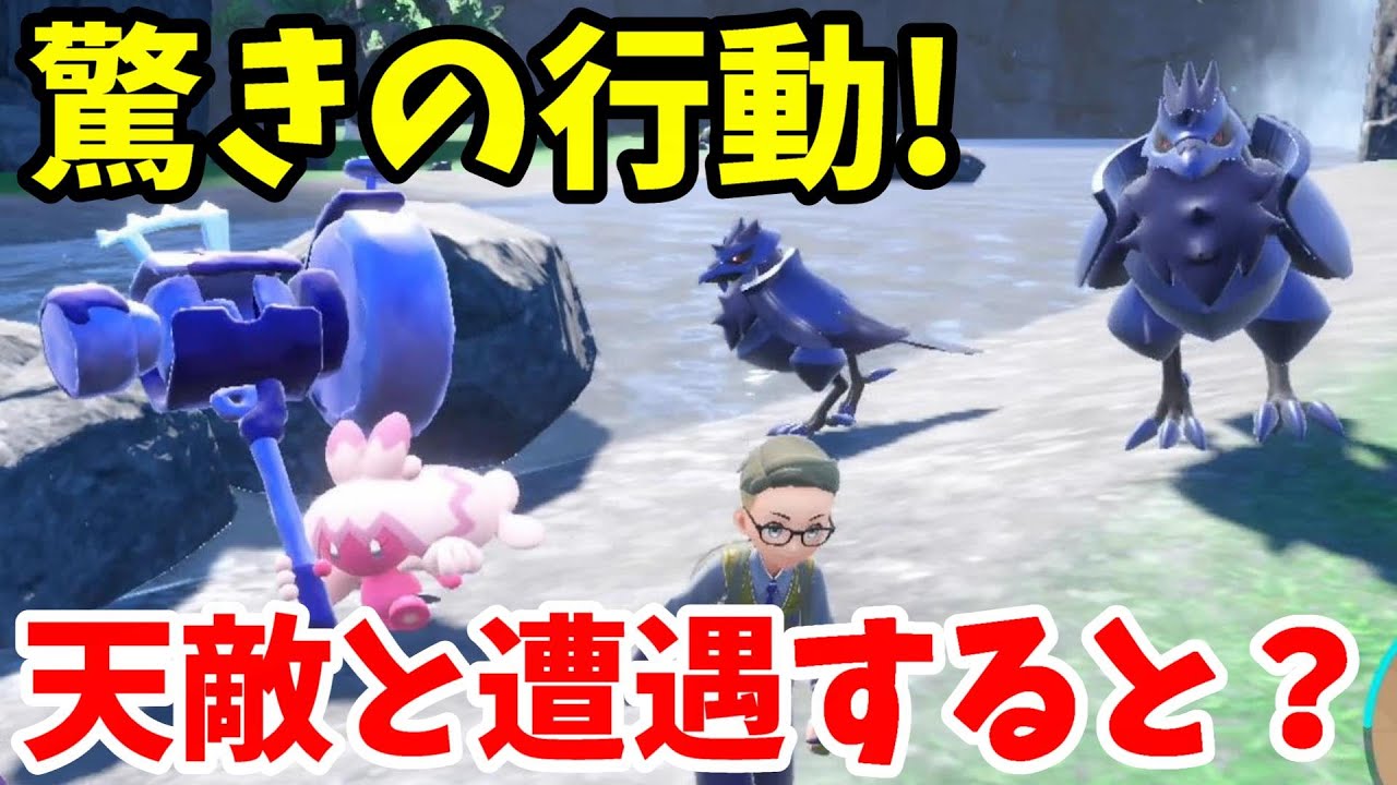 【ポケモンSV】アーマーガアはデカヌチャンと一緒にいると・・・！？バイオレット図鑑の旅17【ポケモンスカーレットバイオレット】