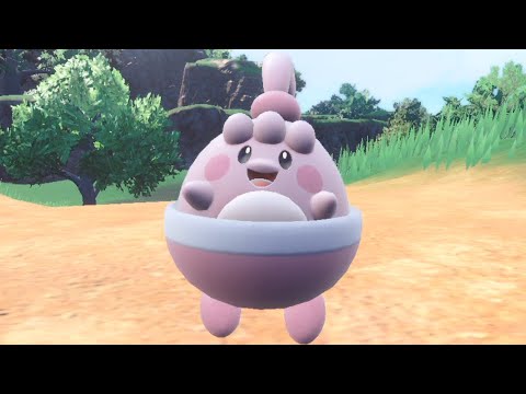 【ポケモンSV】特殊耐久に自信のあるピンプクを使ったら壮絶な試合になった【ランクバトル・ポケットモンスター スカーレット・バイオレット】