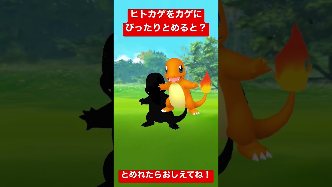 ぴったりゲーム！ヒトカゲをカゲにぴったりとめてね！#ポケモン
