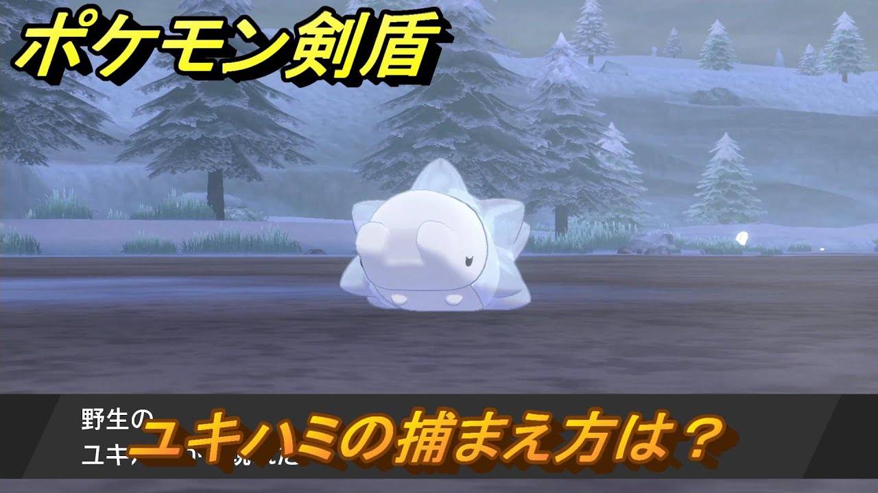 ポケモン剣盾　ユキハミの出現場所は？オススメの場所は？天気は？ポケモン図鑑コンプへの道！　最新版【ポケモンソード・シールド】