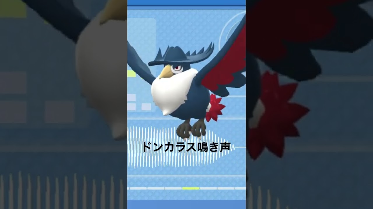 BDSP【シンオウ図鑑NO075】ドンカラス鳴き声#ポケモン鳴き声 #図鑑コンプ #ブリリアントダイヤモンド #シャイニングパール#ポケモン生態#第四世代鳴き声#Haunter
