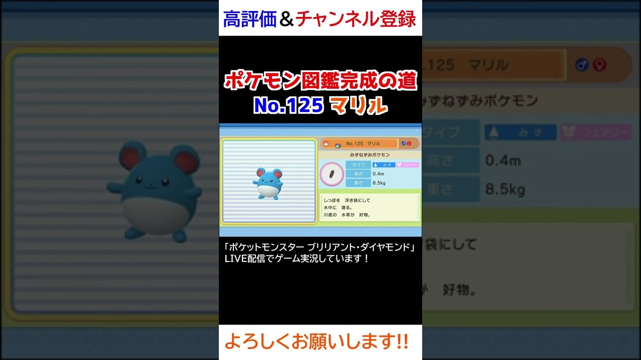No.125 マリル図鑑登録完了！【ポケモンBDSP】