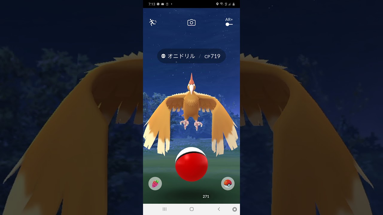 オニドリルがバサバサするだけ