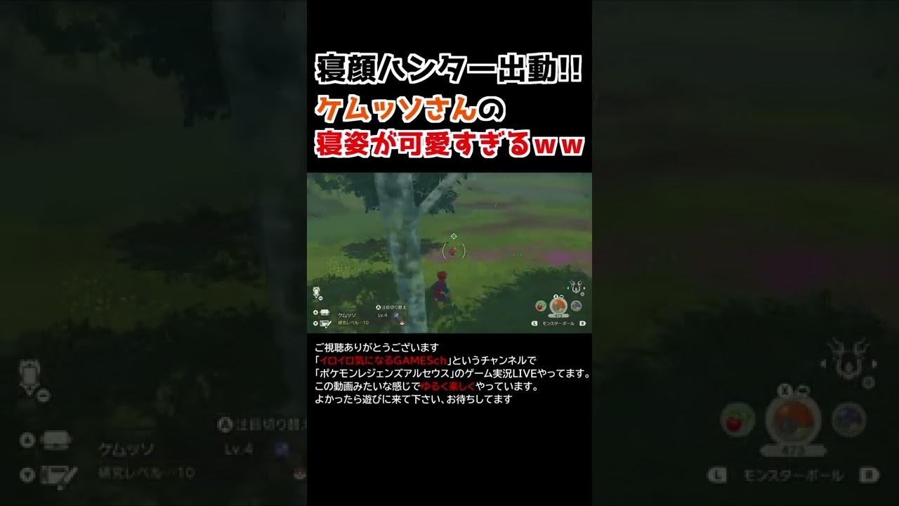 ケムッソさんの「寝姿」が可愛すぎるww vol2【Pokémon LEGENDS アルセウス】【寝顔ハンター】