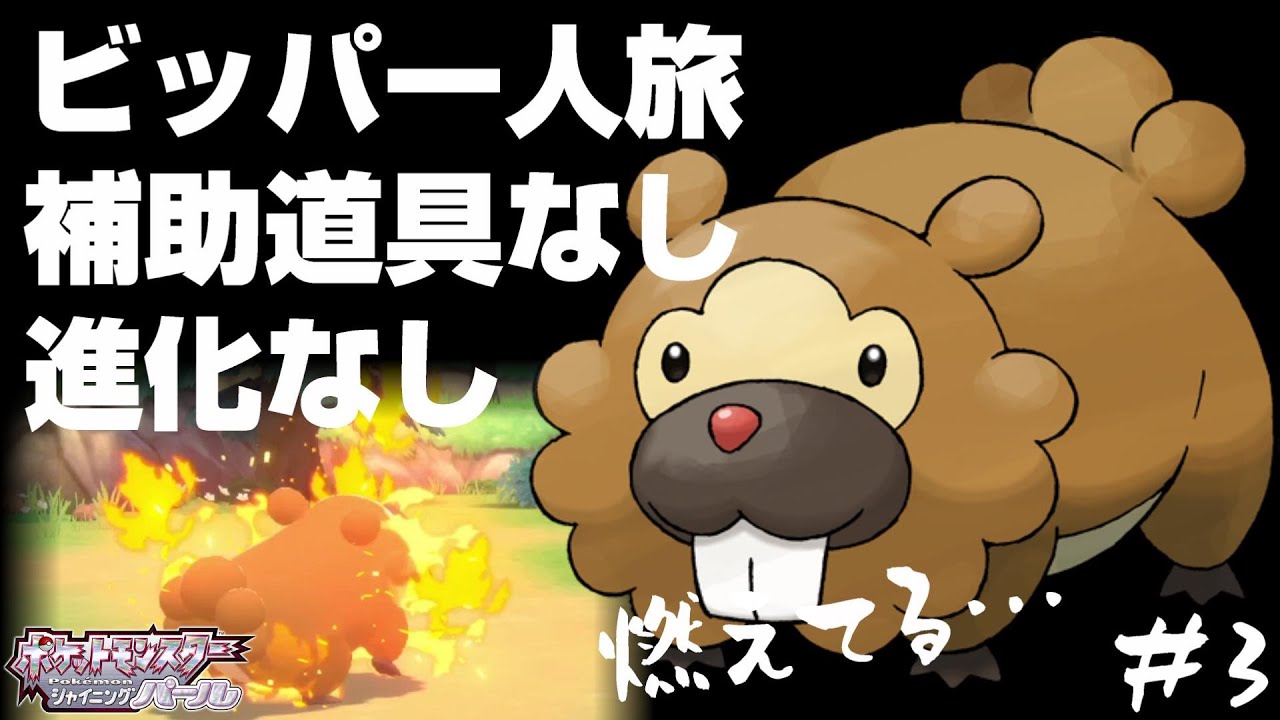 ビッパと旅するポケモンダイパリメイク#3【燃えるぶた】