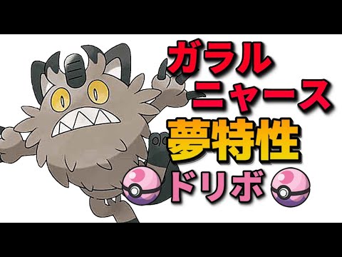 【ポケモンSV 】夢特性ガラルニャース(ドリボ入り)配布します！※参加方法はメッセージ固定＃27