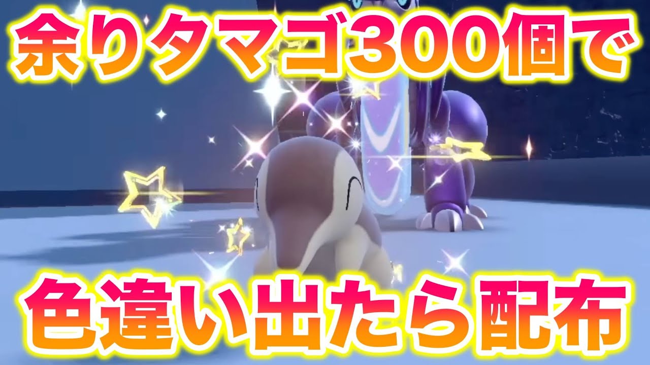 余りタマゴで色違いヒノアラシ出たら必ず配布しなければならない配信【ポケモンSV/スカバイ】