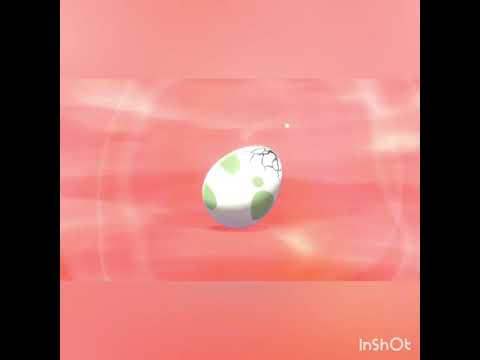 ポケモンソード色違いイワンコ卵5個色違いきた