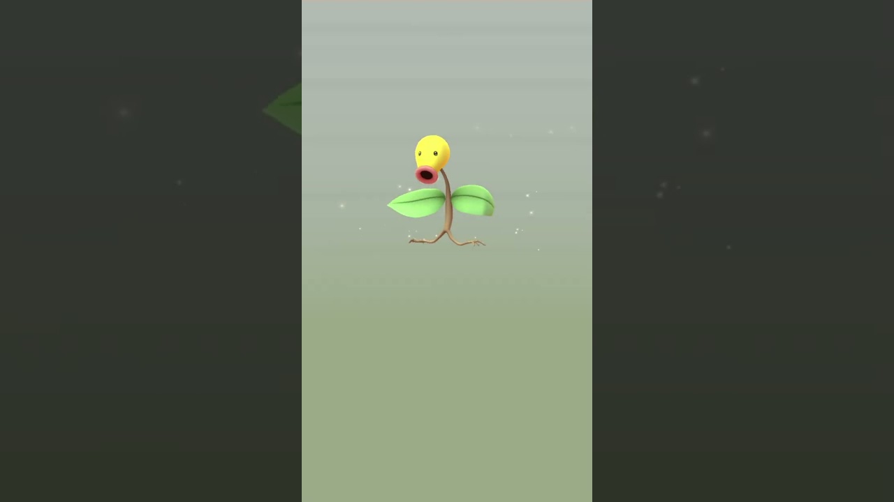 マダツボミ✨　#ポケモンgo