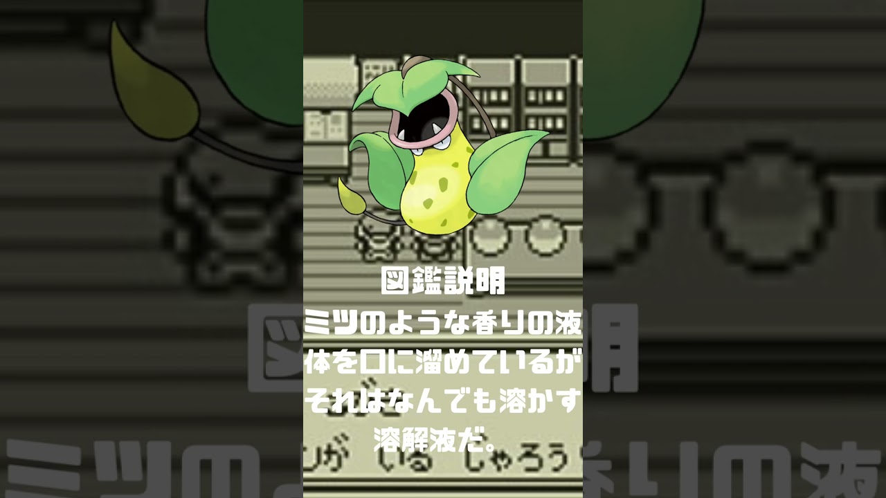 Ｎｏ．0071 ウツボット【ポケモン図鑑】 #shorts   #ポケモン　#pokemon