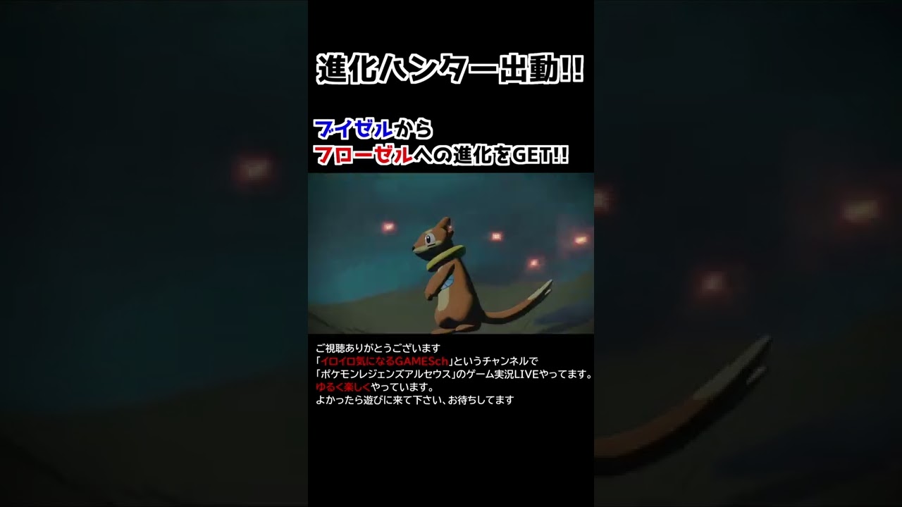 ブイゼル→フローゼル進化【Pokémon LEGENDS アルセウス】【進化ハンター】