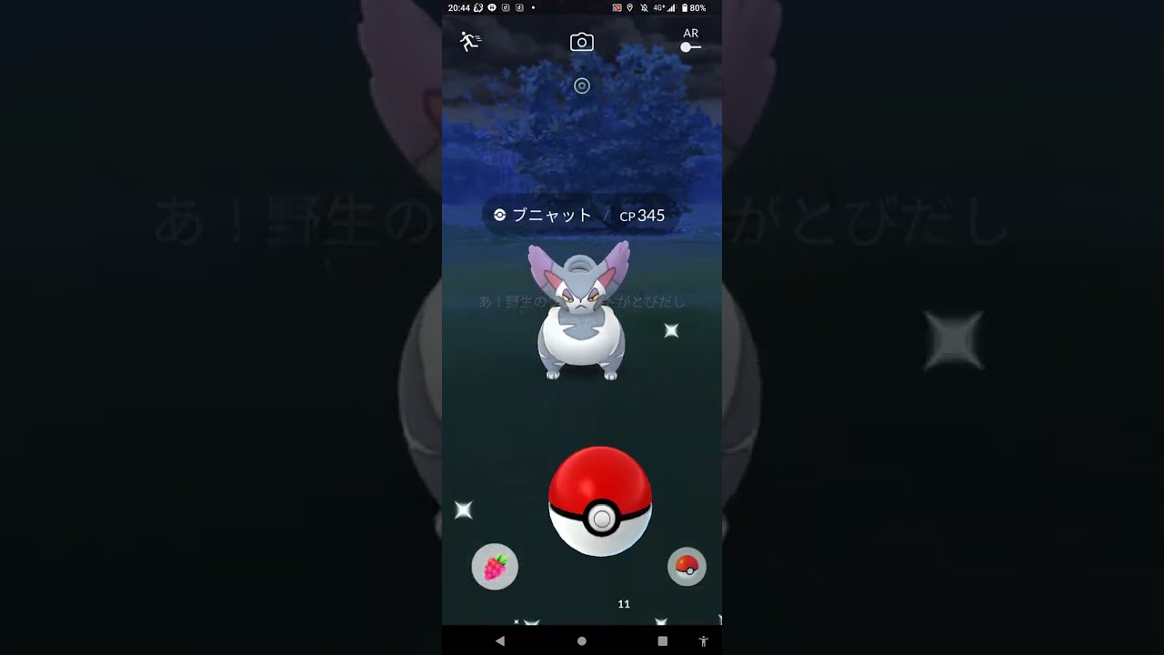 超・お散歩お香の旅（ガラル３鳥を追い求めて）２１０日目　撮影日２／２４