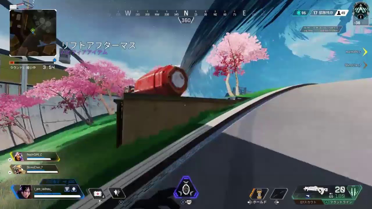ポカブ　ミジュマル　ツタージャ