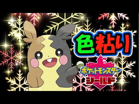 【ポケモン剣盾】モルペコ国際孵化等【約1,700匹～】