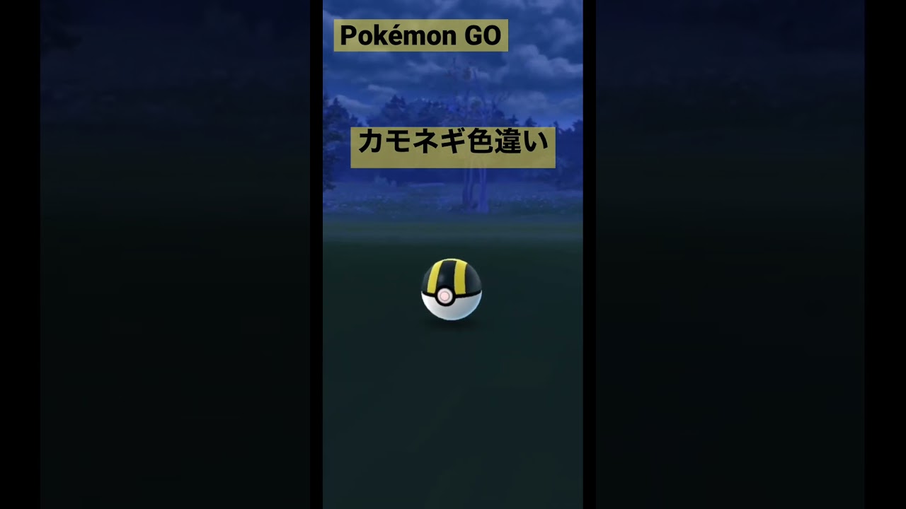 【Pokémon GO】カモネギ色違い　こんな声かな？　勝手にイメージ　#ポケモンgo
