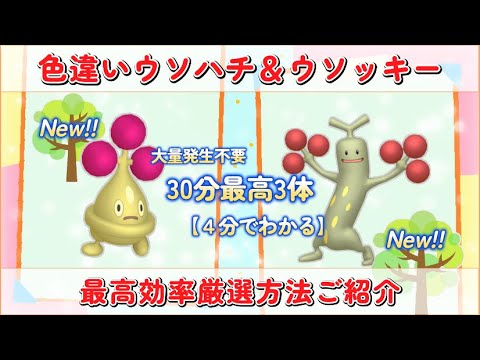 色違いウソハチ・ウソッキー最高効率厳選4分動画 #ポケモンsv #色違い #最高効率 #大量発生不要 #ウソハチ #ウソッキー