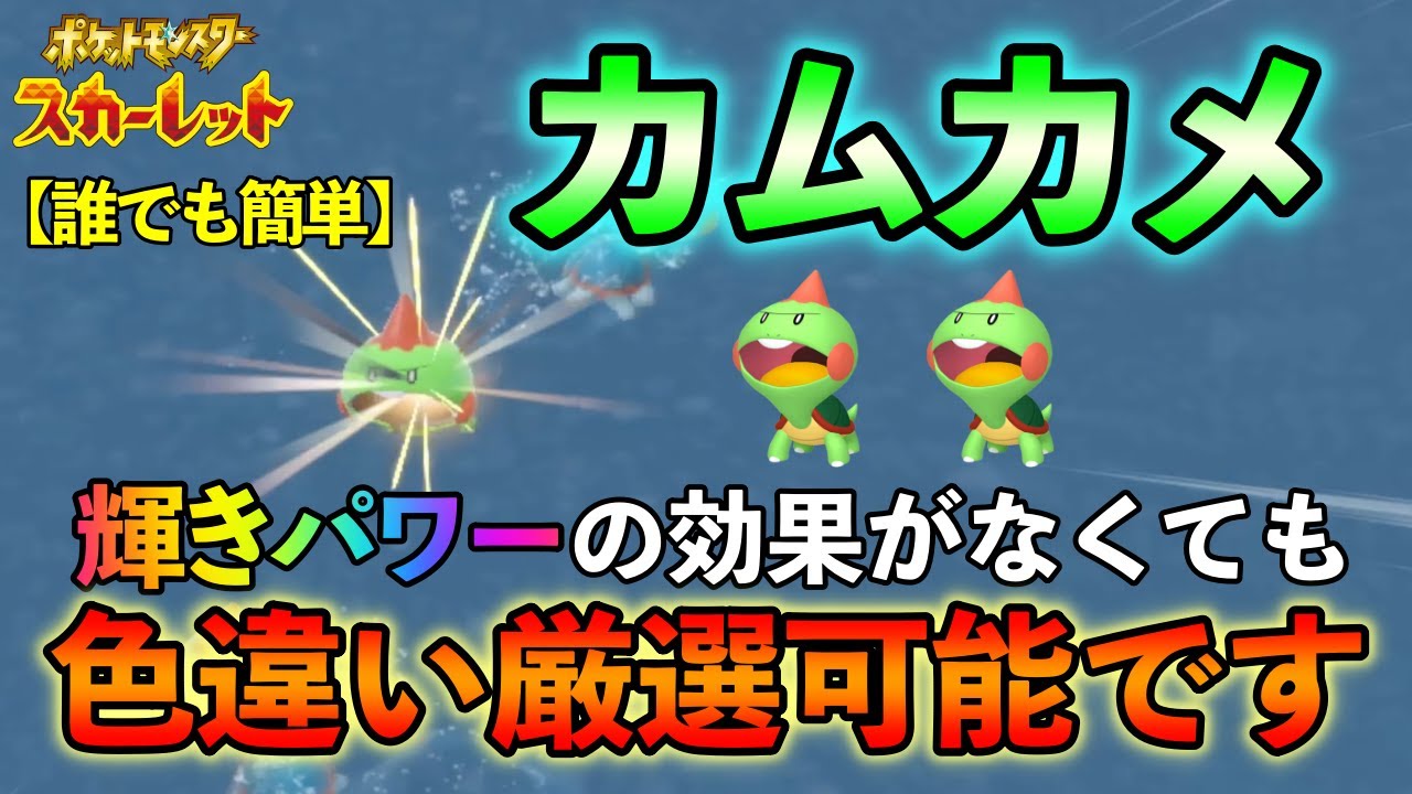 【ポケモンSV】 カムカメ(カジリガメ)の色違い厳選方法をご紹介 輝きパワーの効果がのらない方法での厳選【色違い厳選】