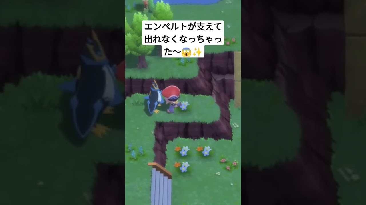 エンペルトが支えて出れなくなったよ〜😱