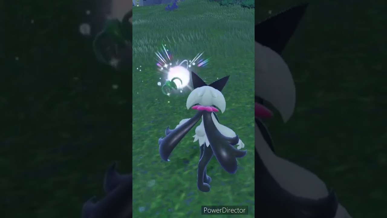【ポケモンバイオレット】クヌギダマかと思ったらゾロア　#ポケモンバイオレット #ゲームリハビリ