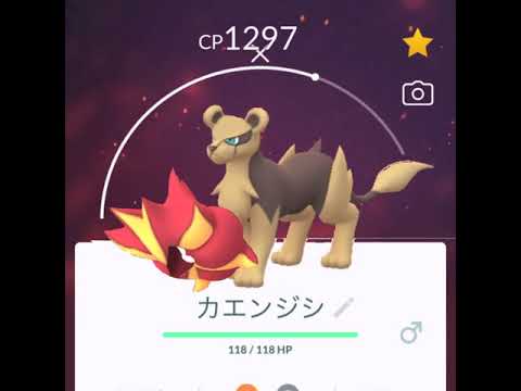 みんなには内緒だよ。。。【2020.12.7UP】