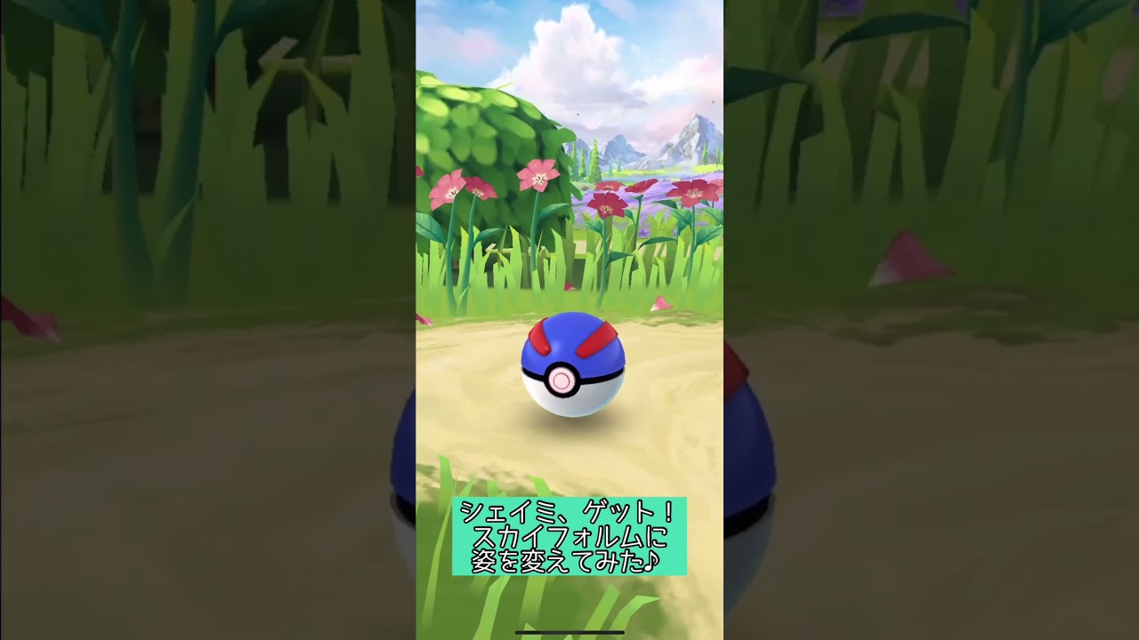 【ポケモンGO】シェイミ、ゲット！スカイフォルムに姿を変えてみた！【PokémonGO】 #shorts