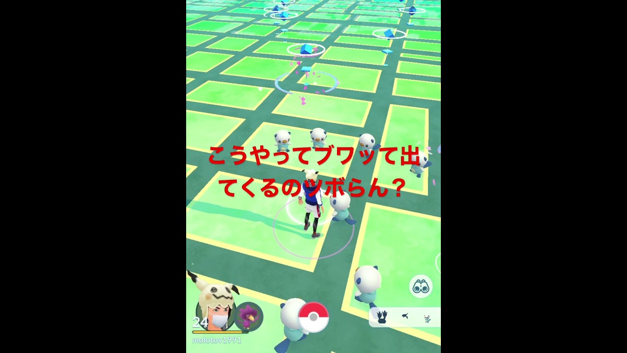 ミジュマル4兄弟