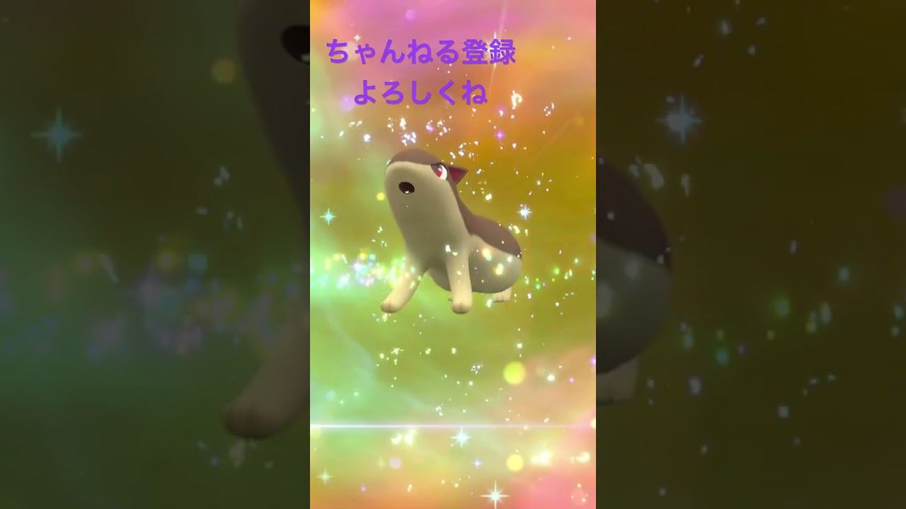 色違いヒノアラシをマグマラシに進化！ #ポケモン #ポケモンsv #色違い #pokemon #shiny #gameplay