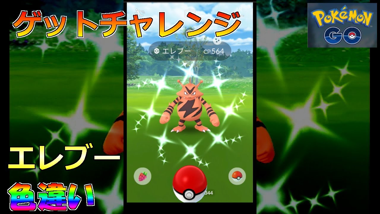 【ポケモンGO】ゲットチャレンジ エレブー 色違い