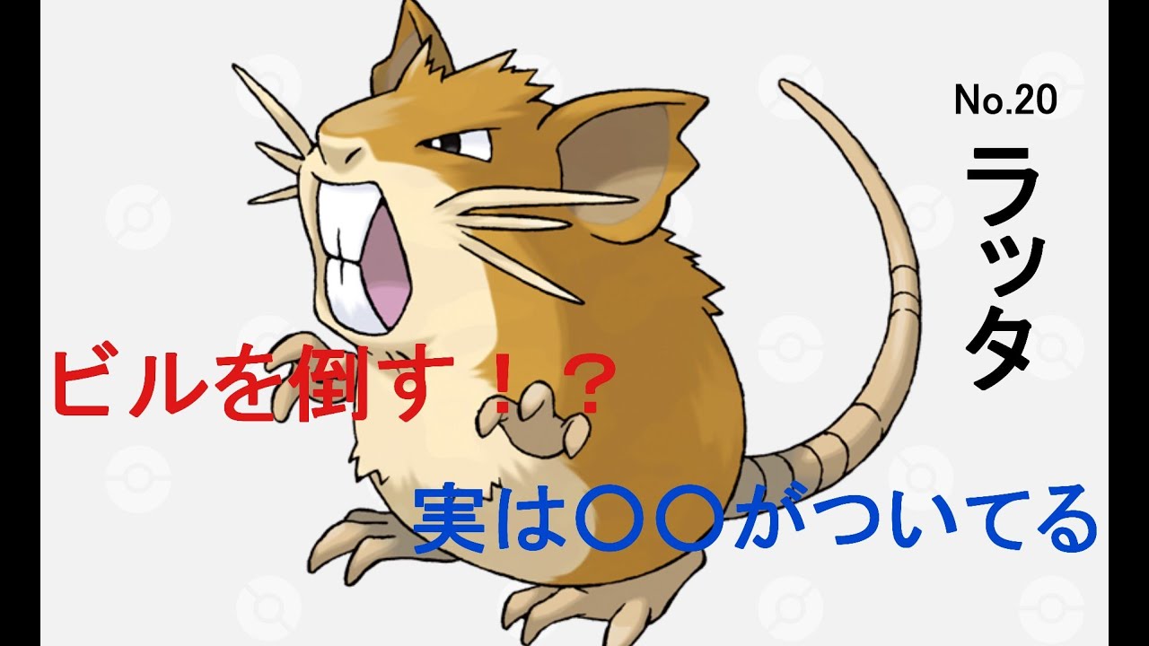 ゆるっとポケモン図鑑　42話　ラッタ