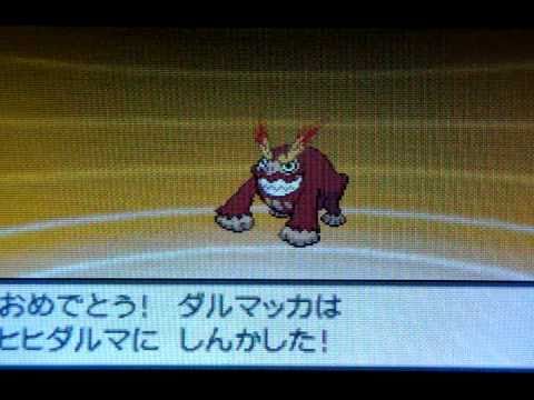 ポケットモンスター ホワイト、ダルマッカ / ヒヒダルマ