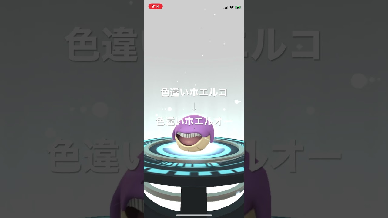 ポケモンGO 色違いホエルコ出現！色違いホエルオーへ進化！ #pokémon #ポケットモンスター #pokmongo