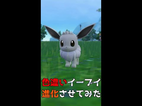 色違いイーブイ進化させてみた【ポケットモンスターSV】　＃Shorts