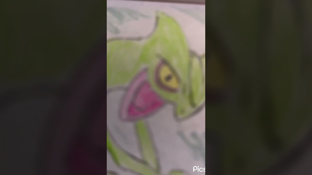 シャーペンと色鉛筆でポケモンのキモリ進化集描いてみました#shorts #イラスト #pokemon #anime