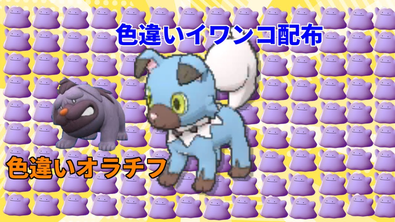【ポケモンスカーレットバイオレット】期間限定　色違い イワンコ　オラチフ　レイド配布　交換会　毎日24時間　4/24 Pokemon Raid #75