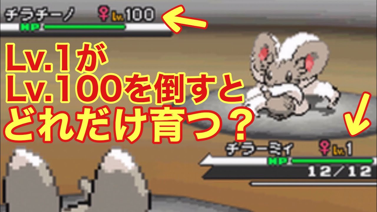 【小ネタ】レベル1がレベル100を倒すと何レベルまで育つのか検証した【ポケモンBW】