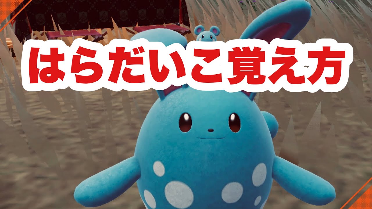 はらだいこマリルリ作り方覚え方【ポケモンSV】ポケットモンスタースカーレットバイオレット