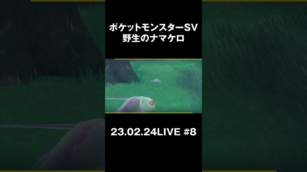 木の上にいた野生のナマケロに童心に戻るおじさん主 #天の声と愉快な仲間たち #shorts #ポケモンsv