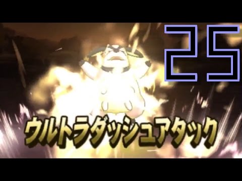 ジュナイパーとオニドリル　ポケットモンスターサンムーン　POKEMON Sun Moon