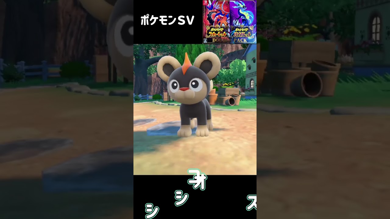 シシコ進化　カエンジシ　ポケモンSV #pokemon