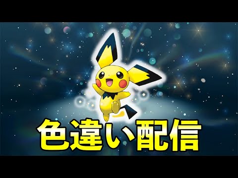 【ふしぎなおくりもの】韓国でピカチュウカラーのピチューが配信決定となりました！