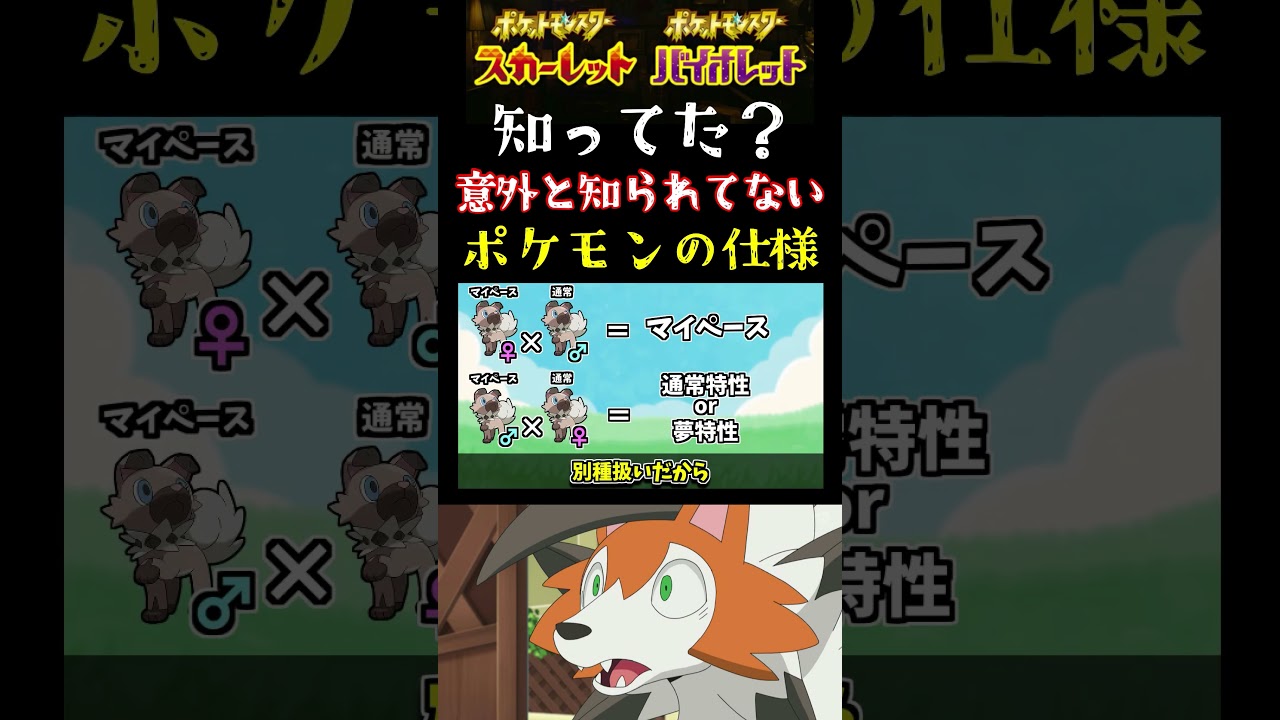 【ポケモンSV】この仕様知ってる？意外と知らない人や誤解してる人が多いマイペースイワンコと黄昏ルガルガンの仕様について1分で解説!!【ポケモン】【マイペース】【イワンコ】【解説】#short