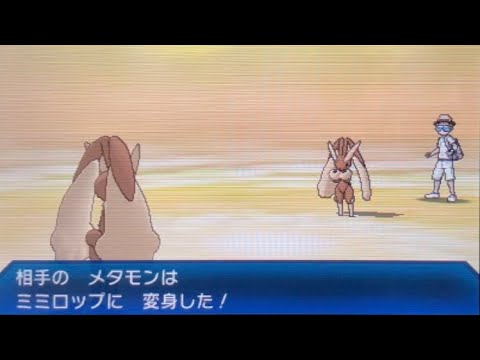 【USUMフリーバトル】そのミミロップは…