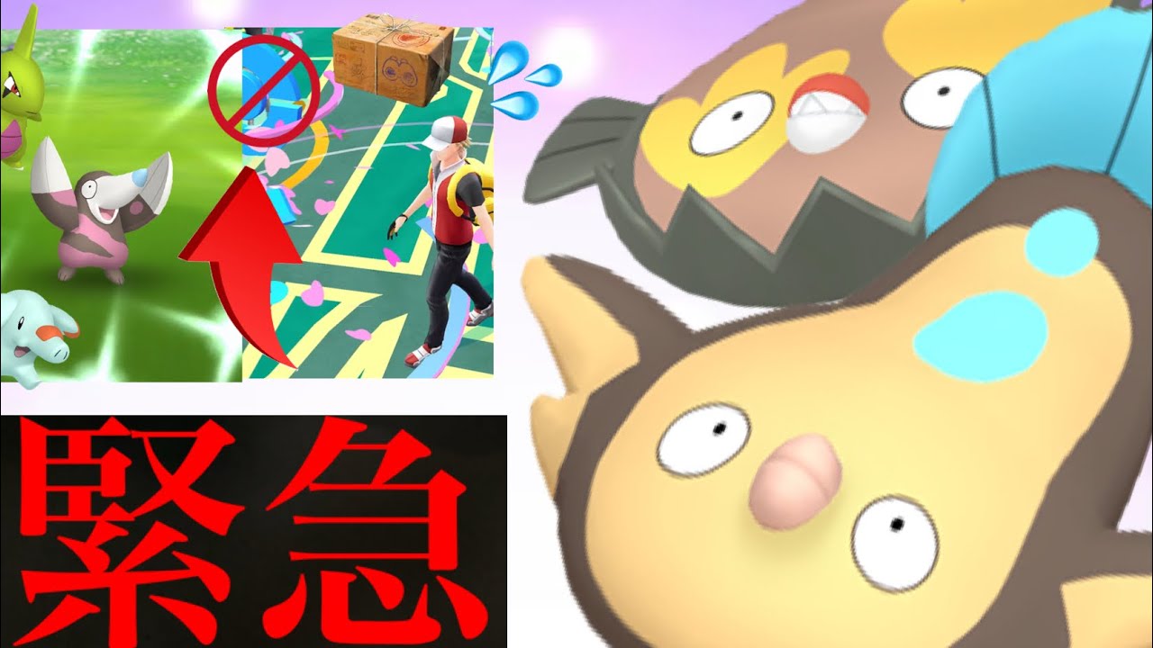 【必ず確認すべき】緊急直前！！明日は〇〇だけはストップ！？３時間限定の色違い率アップの激アツを見逃さずに・・。【ポケモンGO・マッギョ・限定リサーチデイ】