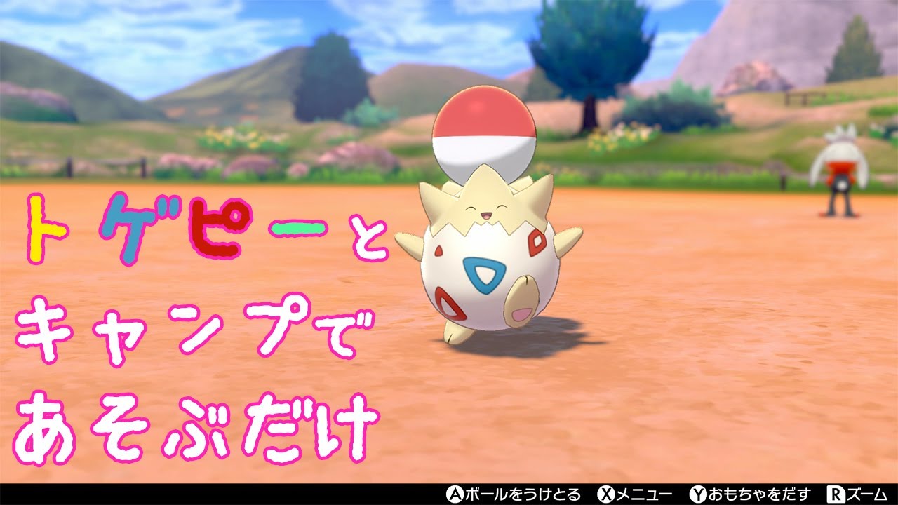 トゲピーとキャンプで遊ぶ