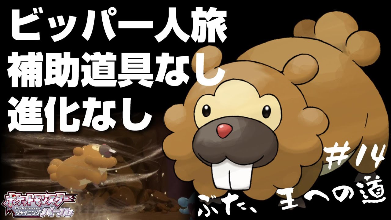 ビッパと旅するポケモンダイパリメイク#14【王への道が潰えそうな豚】