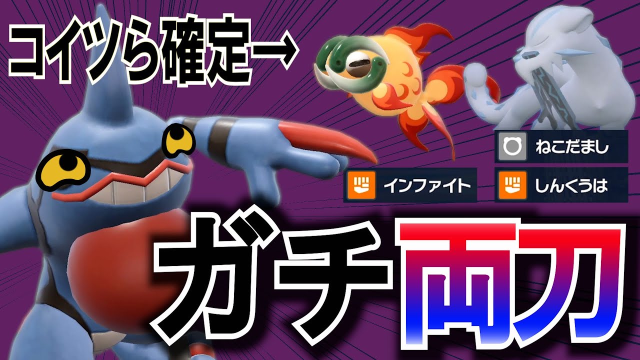 【ガチ両刀】イーユイ・パオジアンを確定で葬る 両刀調整型ドクロッグ【ポケモンSV対戦実況】