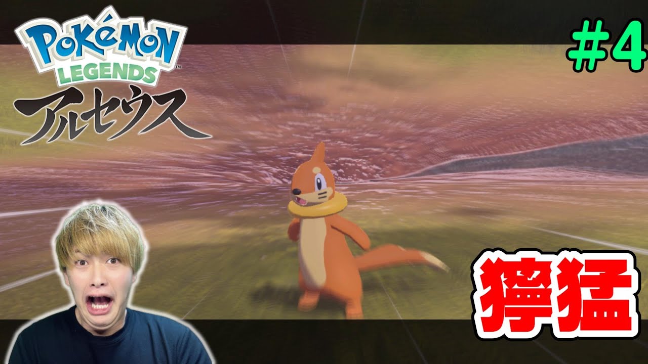【ポケモン アルセウス】こんな可愛い見た目でめっちゃ凶暴なポケモンブイゼル。【Pokémon LEGENDS アルセウス】#4【顔出しゲーム実況】