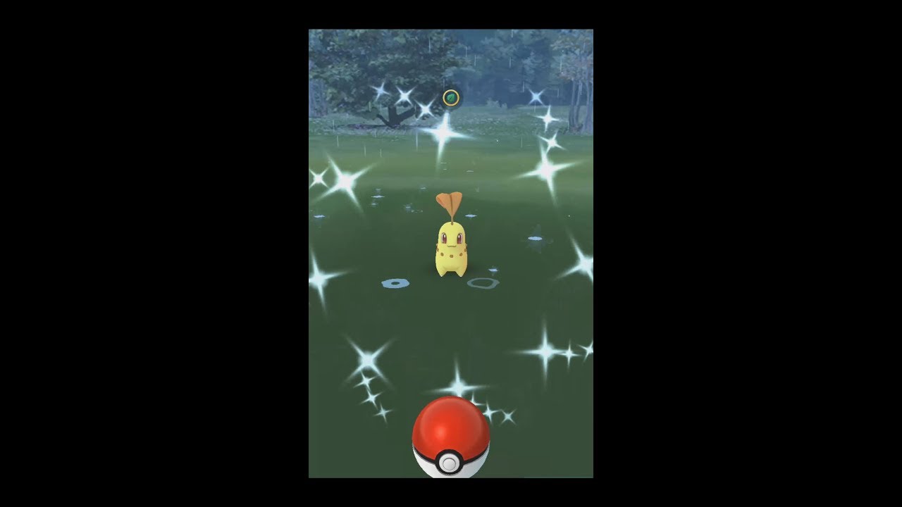 【Pokemon GO】チコリータ色違い　コミュニティー・デイ　Chikorita