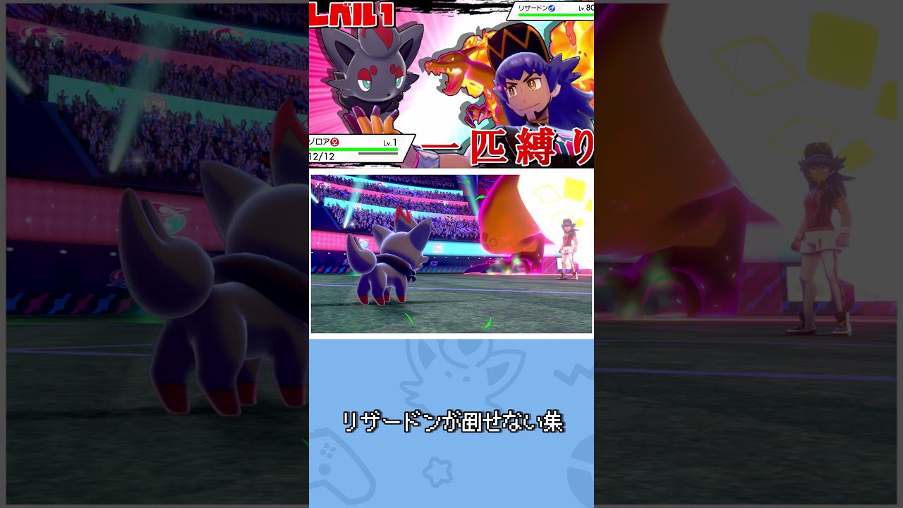 【失敗集】ゾロア一匹じゃダンデには勝てません【#Shorts】